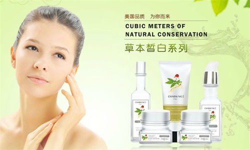 秀匣化妝品 視覺美學與品牌魅力，一站式店鋪裝修與產品展示指南